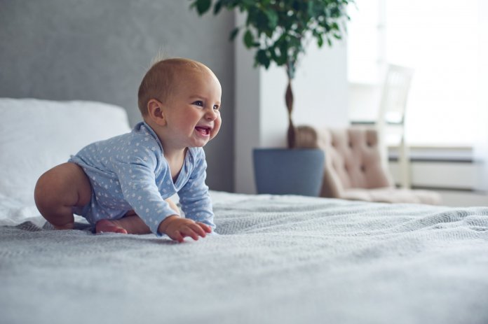 adobestock_226170541-scaled